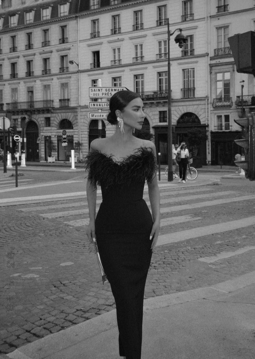 Anastasia - Luxurious Feather Dress