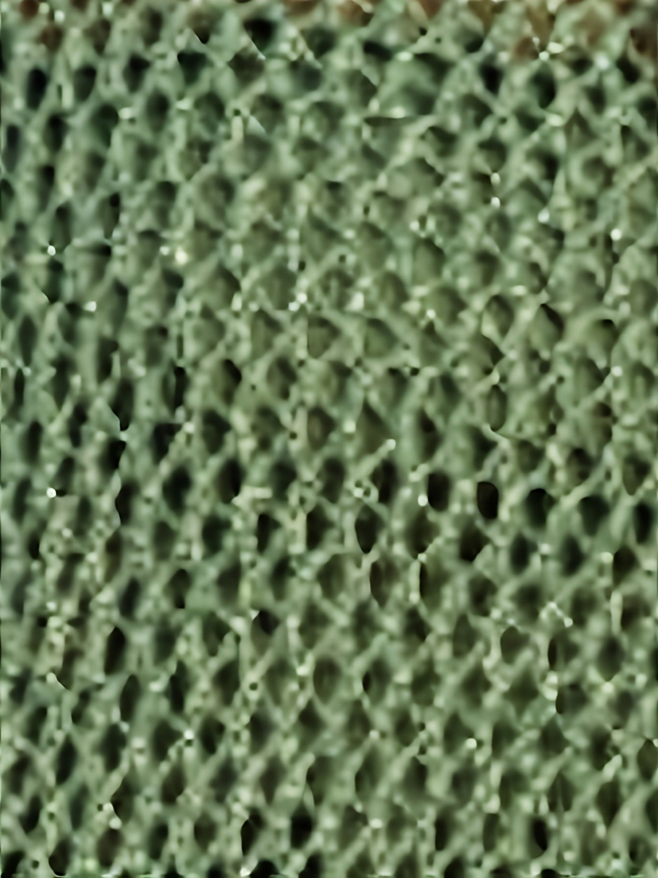 Sage Star Knit